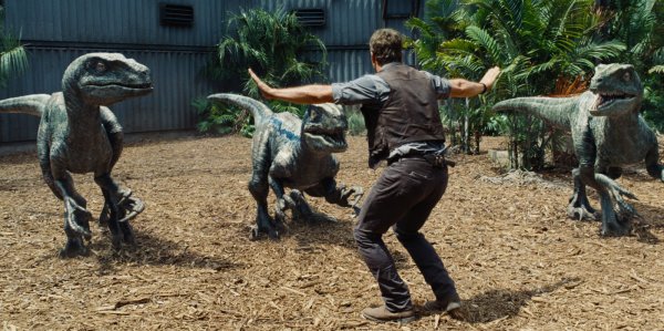 Chris Pratt trabalha com os velociraptors em Jurassic World: O Mundo dos Dinossauros (photo by outnow.ch)